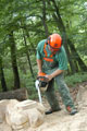 Click to see it big Ich mit Kettensäge, Impression aus dem Wald